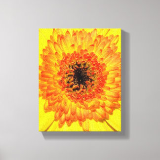 Gerber Daisy Canvas Print