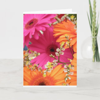Gerber Daisy Card