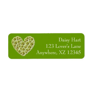 Gerber Daisy Heart