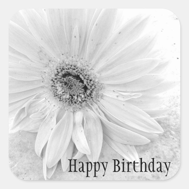 Gerber Daisy In Black And White Happy Birthday Square Sticker (Front)