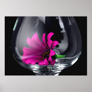 Gerber Daisy in Wine Glass POSTER or CARD