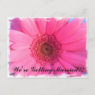 Gerber Daisy Invitation Postcard