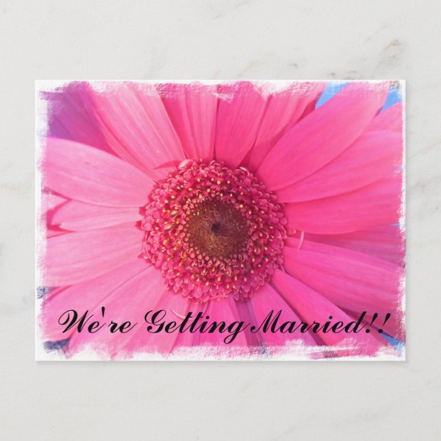 Gerber Daisy Invitation Postcard (Front)