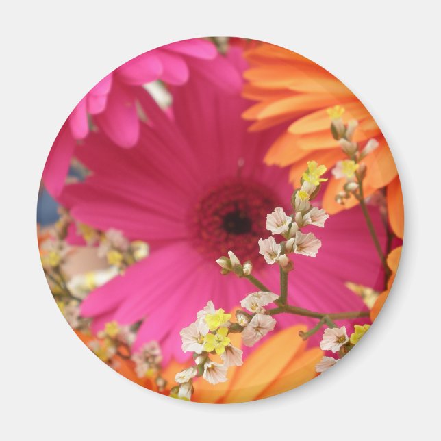 Gerber Daisy Magnet (Front)