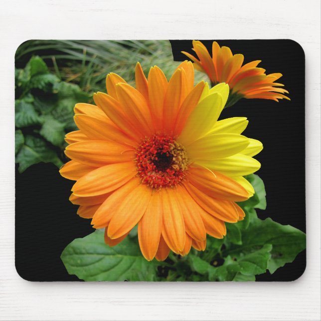 GERBER DAISY-MOUSEPAD MOUSE MAT (Front)