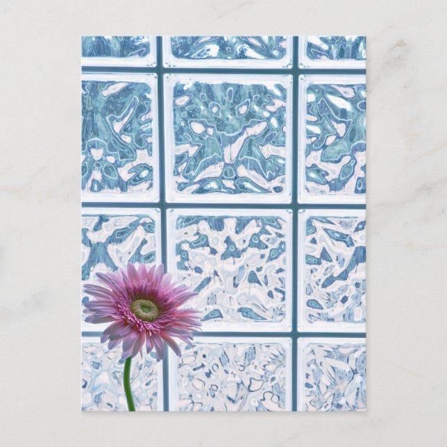 Gerber Daisy Postcard (Front)