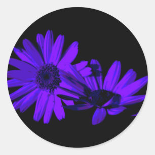Gerbera at night 1 classic round sticker
