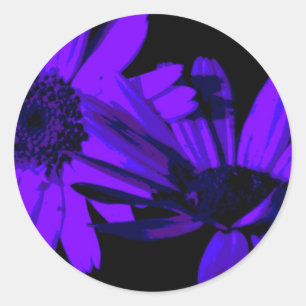 Gerbera at night Round sticker