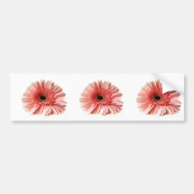 Gerbera Bumper Sticker (Front)