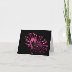 Gerbera Card