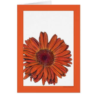 Gerbera Card