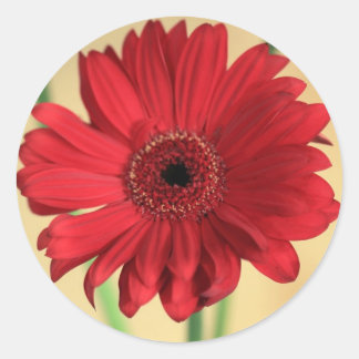 Gerbera Classic Round Sticker