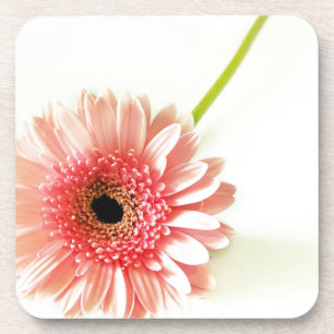 Gerbera Coaster