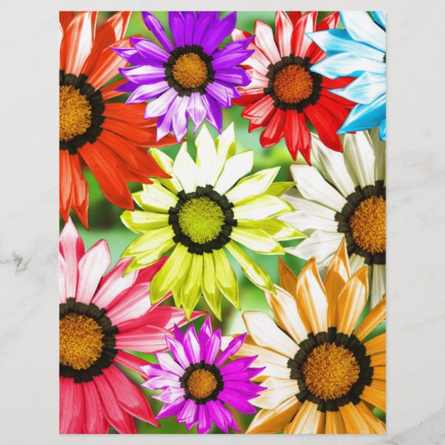 Gerbera colourful flower floral (Front)