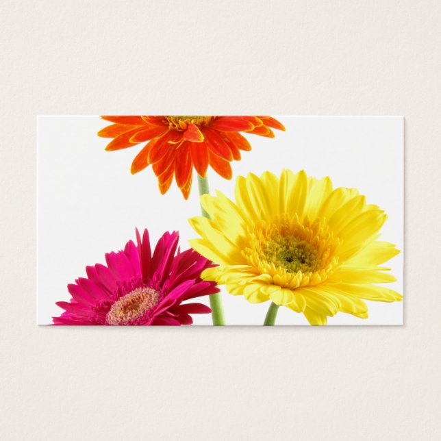 Gerbera Daisies (Front)
