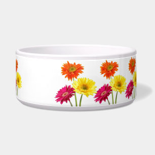 Gerbera Daisies
