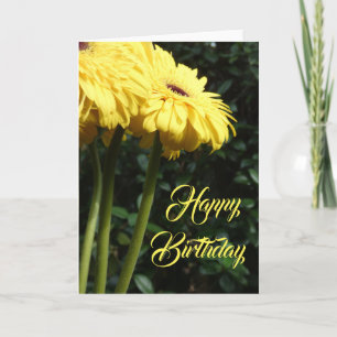"Gerbera Daisies 1." Birthday Greeting Card