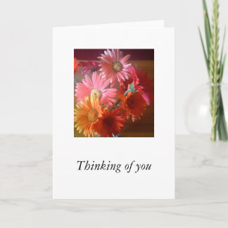 Gerbera Daisies Card