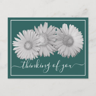 Gerbera Daisies Cyan Background Thinking Of You  Postcard