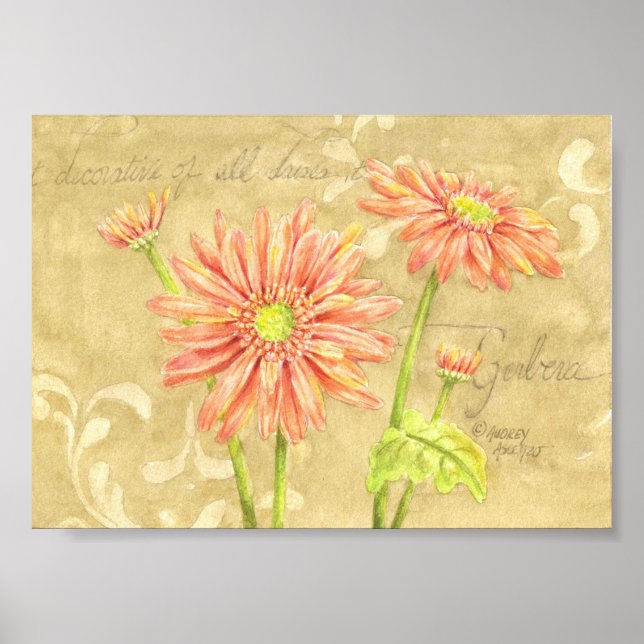 Gerbera Daisies Garden Notes Poster 7x5 (Front)