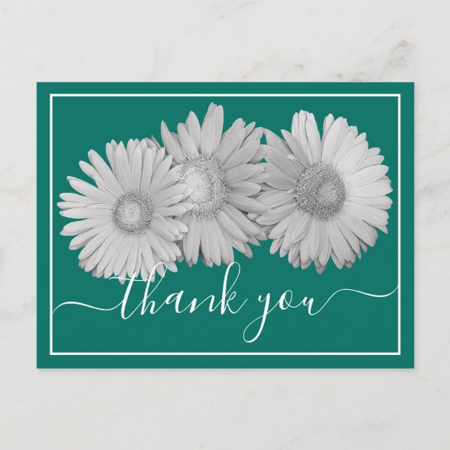 Gerbera Daisies Green Background Thank You Postcard (Front)