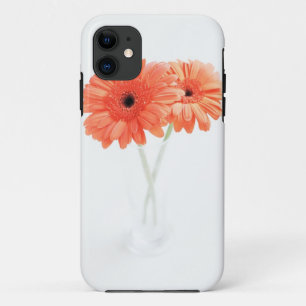 Gerbera Daisies, Orange iPhone 11 Case