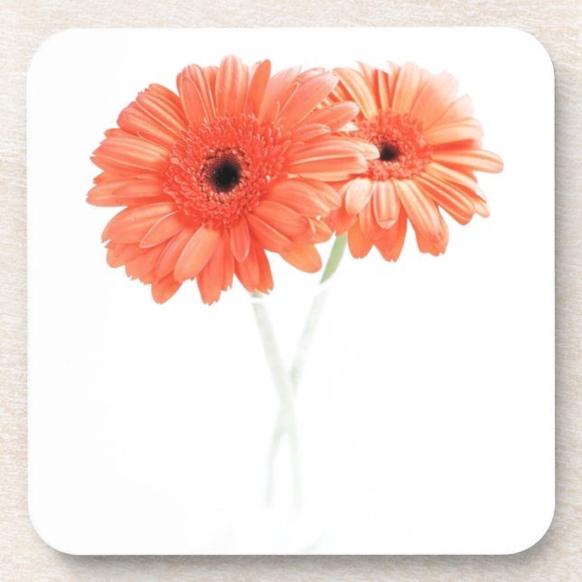 Gerbera Daisies, Orange Coaster (Front)