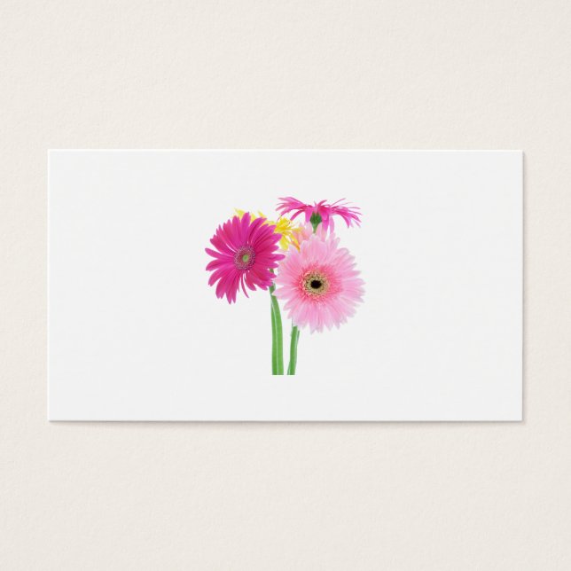 Gerbera Daisies Pink (Front)