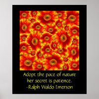 Gerbera Daisies with Quote