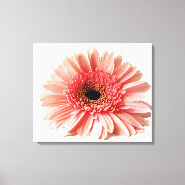 Gerbera Daisy Canvas Print (Front)