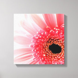 Gerbera Daisy Canvas Print