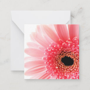 Gerbera Daisy   Card