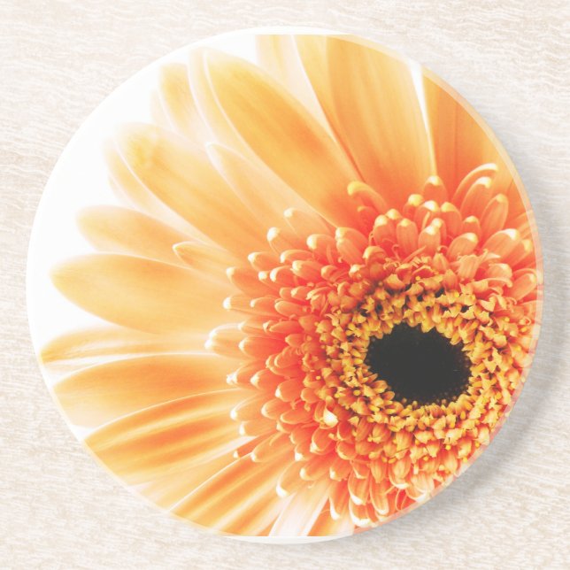 Gerbera Daisy Coaster (Front)