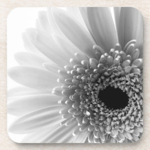 Gerbera Daisy Coaster