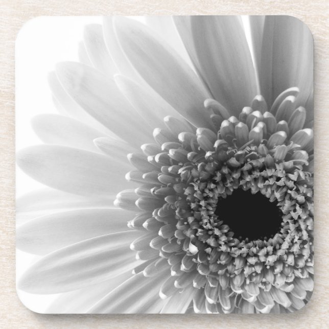 Gerbera Daisy Coaster (Front)