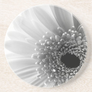 Gerbera Daisy Coaster