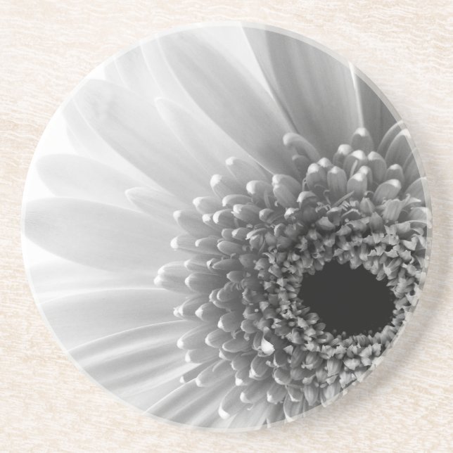Gerbera Daisy Coaster (Front)