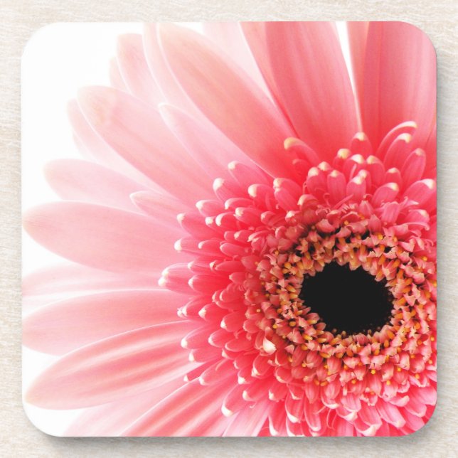 Gerbera Daisy Coaster (Front)
