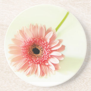 Gerbera Daisy Coaster