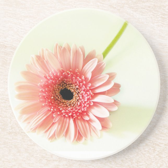 Gerbera Daisy Coaster (Front)
