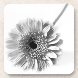 Gerbera Daisy Coaster