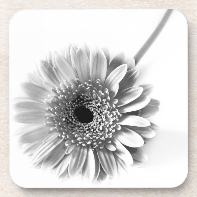 Gerbera Daisy Coaster (Front)