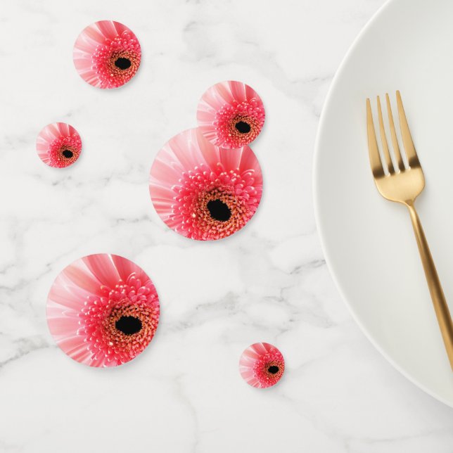 Gerbera Daisy Confetti (Group)