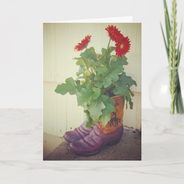 "Gerbera Daisy Cowboy Boots" Get Well Card (Front)