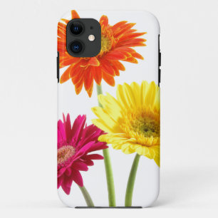 Gerbera Daisy Delight iPhone 11 Case
