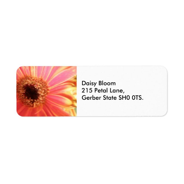 Gerbera Daisy Flower Address Labels (Front)