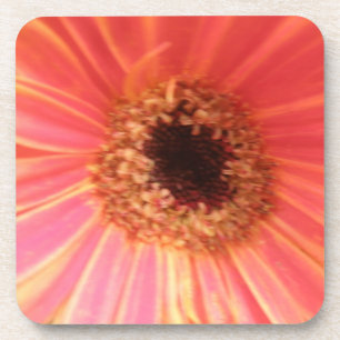 Gerbera Daisy Flower Cork Coaster