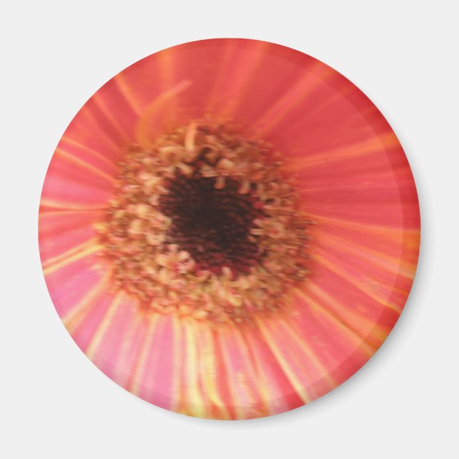 Gerbera Daisy Flower Magnet (Front)