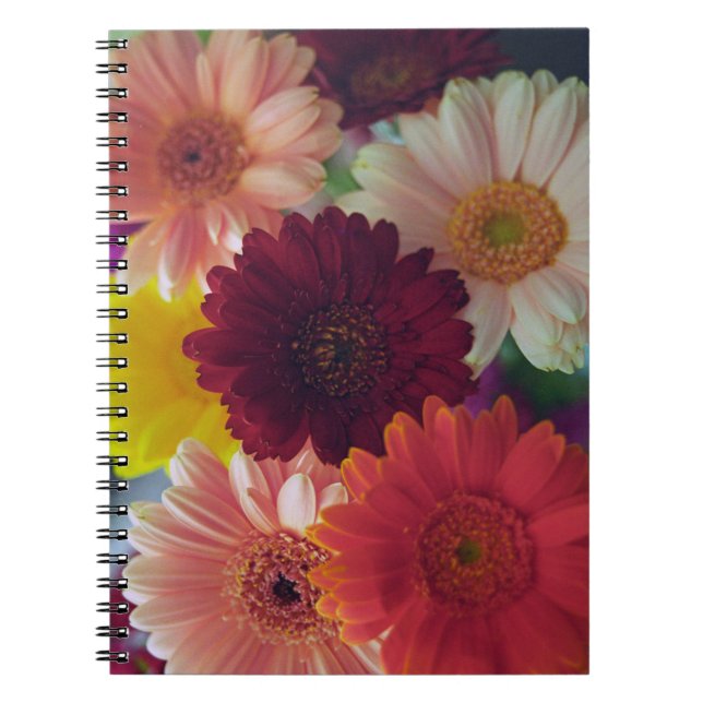 Gerbera Daisy Flower Photo Art Journal Notebook (Front)