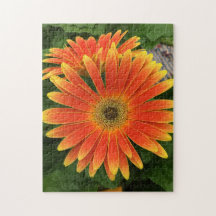 Gerbera Daisy Flower Puzzle